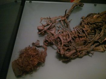 <b>Author:</b> Mark Healey<br>
<b>License:</b> <a href="https://creativecommons.org/licenses/by-sa/2.0/" target="_blank" rel="noopener">CC BY-SA 2.0</a> Bog Body Flickr MarkHealey CC BY SA 2 0