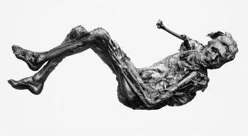 <b>Author:</b> Unknown<br>
<b>License:</b> <a href="https://creativecommons.org/publicdomain/zero/1.0/" target="_blank" rel="noopener">Public domain</a> Bog body from Denmark Borremose Man Wikimedia unknown author PublicDomain