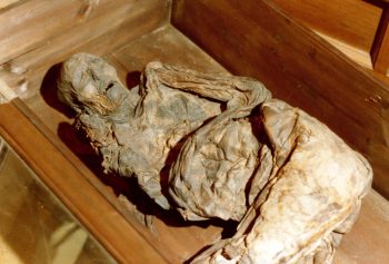 <b>Author:</b> Sven Rosborn<br>
<b>License:</b> <a href="https://creativecommons.org/publicdomain/zero/1.0/" target="_blank" rel="noopener">Public domain</a> Bog body of the Huldremose woman Wikimedia Sven Rosborn PublicDomain