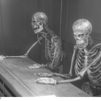 Two skeletons in classroom