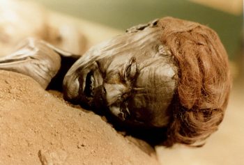<b>Author:</b> Sven Rosborn<br>
<b>License:</b> <a href="https://creativecommons.org/publicdomain/zero/1.0/" target="_blank" rel="noopener">Public domain</a> The face of the bog body known as Grauballe man Wikimedia Sven Rosborn PublicDomain