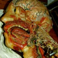 Wax statue of dissected human face