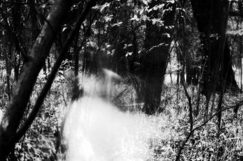 <b>Author:</b> matthias lueger<br>
<b>License:</b> <a href="https://creativecommons.org/licenses/by-nc-nd/2.0/" target="_blank" rel="noopener">CC BY-NC-ND 2.0</a>