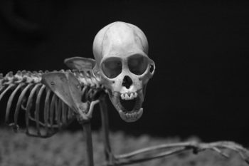 <b>Author:</b> Rubén<br>
<b>License:</b> <a href="https://creativecommons.org/licenses/by-nc-sa/2.0/" target="_blank" rel="noopener">CC BY-NC-SA 2.0</a> Creepy Flickr Ruben CC BY NC SA 2 0