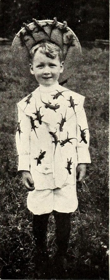 <b>Author:</b> Internet Archive Book Images
<br>
<b>License:</b> <a href="https://creativecommons.org/publicdomain/zero/1.0/" target="_blank" rel="noopener">Public domain</a>