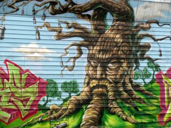 <b>Author:</b> Eden, Janine and Jim<br>
<b>License:</b> <a href="https://creativecommons.org/licenses/by/2.0/" target="_blank" rel="noopener">CC BY 2.0</a> Scary Tree Flickr Eden Janine and Jim CC BY 2 0