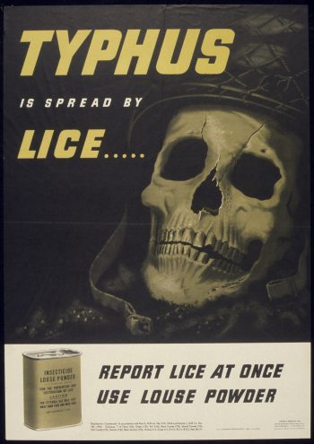 <b>Author:</b> National Archives Catalog<br>
<b>License:</b> <a href="https://creativecommons.org/publicdomain/zero/1.0/" target="_blank" rel="noopener">Public domain</a> TYPHUS IS SPREAD BY LICE National Archives Catalog U S National Archives and Records Administration PublicDomain