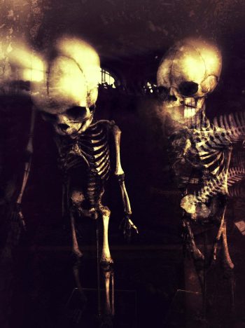 <b>Author:</b> Mario Klingemann<br>
<b>License:</b> <a href="https://creativecommons.org/licenses/by-nc/2.0/" target="_blank" rel="noopener">CC BY-NC 2.0</a> Baby Skeleton Flickr Mario Klingemann CC BY NC 2 0