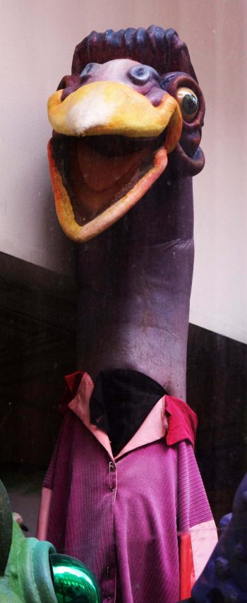 <b>Author:</b> Quinn Dombrowski<br>
<b>License:</b> <a href="https://creativecommons.org/licenses/by-sa/2.0/" target="_blank" rel="noopener">CC BY-SA 2.0</a> Creepy ostrich Flickr Quinn Dombrowski CC BY SA 2 0