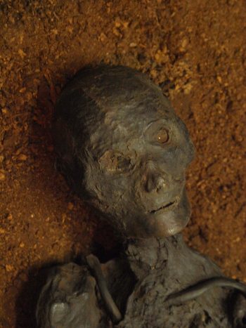 <b>Author:</b> Bullenwächter<br>
<b>License:</b> <a href="https://creativecommons.org/licenses/by/3.0/" target="_blank" rel="noopener">CC BY 3.0</a> Portrait of bog body of the Rendswuhren Man on display at Archaologisches Landesmuseum Wikimedia BullenwachterCC BY SA 3 0
