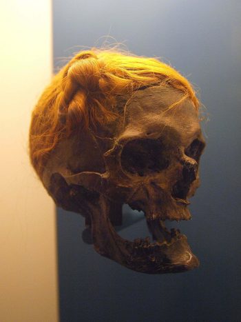 <b>Author:</b> Bullenwächter<br>
<b>License:</b> <a href="https://creativecommons.org/licenses/by-sa/3.0/" target="_blank" rel="noopener">CC BY-SA 3.0</a> The bog body of the Osterby Man Wikimedia Bullenwachter CC BY SA 3 0