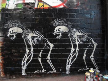<b>Author:</b> duncan cumming<br>
<b>License:</b> <a href="https://creativecommons.org/licenses/by-nc/2.0/" target="_blank" rel="noopener">CC BY-NC 2.0</a> Stencil punk ape skeletons Flickr duncan cumming CC BY NC 2 0