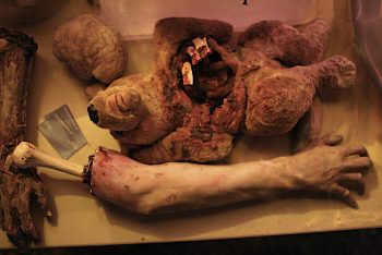 <b>Author:</b> Ed Schipul<br>
<b>License:</b> <a href="https://creativecommons.org/licenses/by-sa/2.0/" target="_blank" rel="noopener">CC BY-SA 2.0</a> dead teddy bear with ribs Flickr dead teddy bear with ribs CC BY SA 2 0