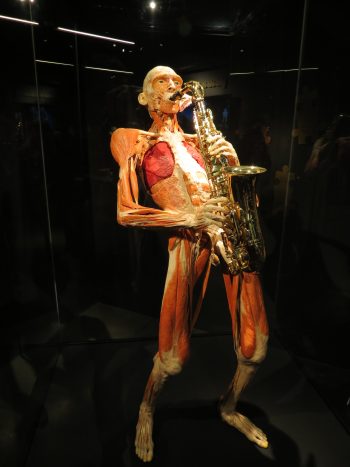 <b>Author:</b> Lorenzo Blangiar<br>
<b>License:</b> <a href="https://creativecommons.org/licenses/by-nd/2.0/" target="_blank" rel="noopener">CC BY-NC-ND 2.0</a> The sax Flickr Lorenzo Blangiar CC BY ND 2 0