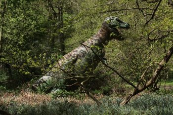 <b>Author:</b> Dave Catchpole<br>
<b>License:</b> <a href="https://creativecommons.org/licenses/by/2.0/" target="_blank" rel="noopener">CC BY 2.0</a> Dinosaur Adventure Flickr Dave Catchpole CC BY 2 0