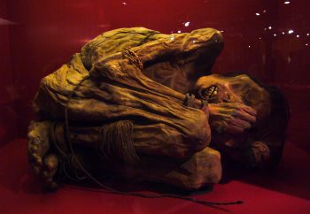 <b>Author:</b> Sarah<br>
<b>License:</b> <a href="https://creativecommons.org/licenses/by/2.0/" target="_blank" rel="noopener">CC BY 2.0</a> Mummified Flickr Sarah CC BY 2 0