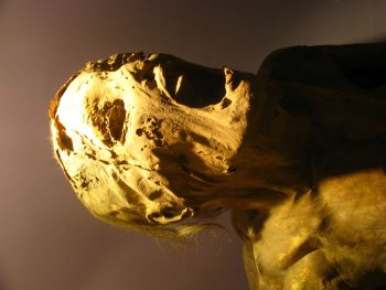 <b>Author:</b> saf2285<br>
<b>License:</b> <a href="https://creativecommons.org/licenses/by/2.0/" target="_blank" rel="noopener">CC BY 2.0</a> Screaming Mummy Flickr saf2285 CC BY 2 0