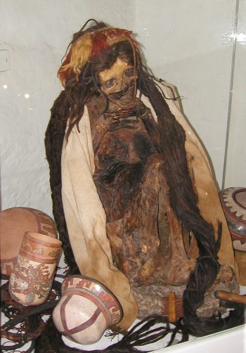 <b>Author:</b> Brian Snelson<br>
<b>License:</b> <a href="https://creativecommons.org/licenses/by/2.0/" target="_blank" rel="noopener">CC BY 2.0</a> Nazca Mummy in the Museo Historical Regional Cusco Flickr Brian Snelson CC BY 2 0