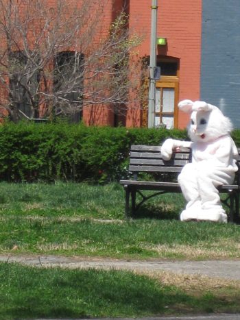 <b>Author:</b> robyn<br>
<b>License:</b> <a href="https://creativecommons.org/licenses/by/2.0/" target="_blank" rel="noopener">CC BY 2.0</a> lonely bunny Flickr robyn CC BY 2 0